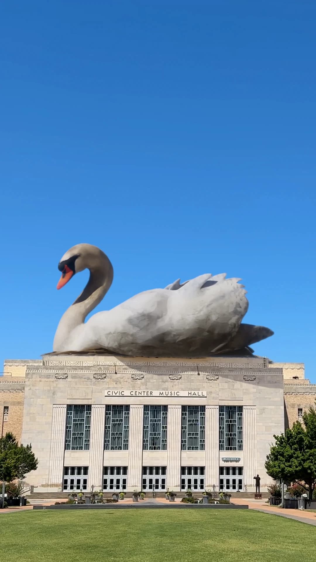Swan | Civic Center